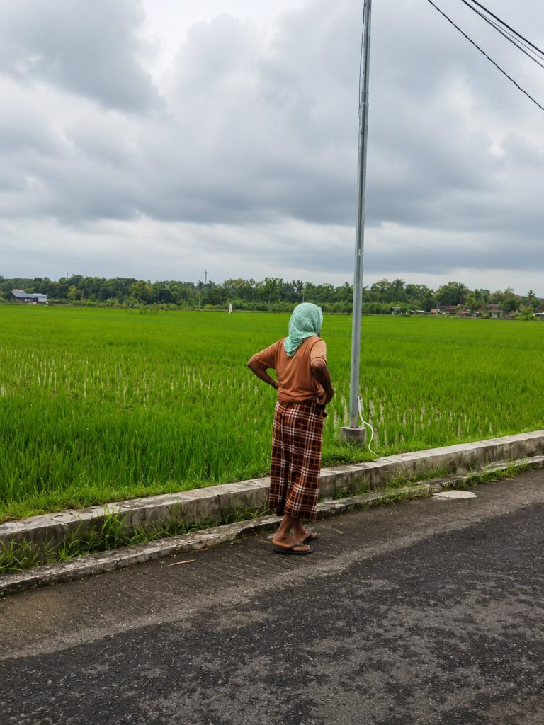 Mbah Mursidah berjalan di area persawahan Moyudan Sleman